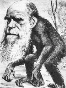 Darwin
