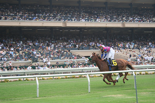 horse_race