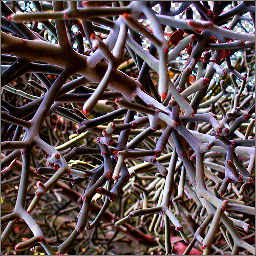 Entropy by Jef Safi